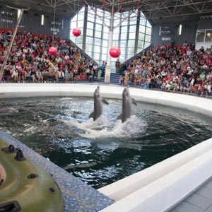 دلفیناریوم وارنا | هزینه + آدرس + تفریحات