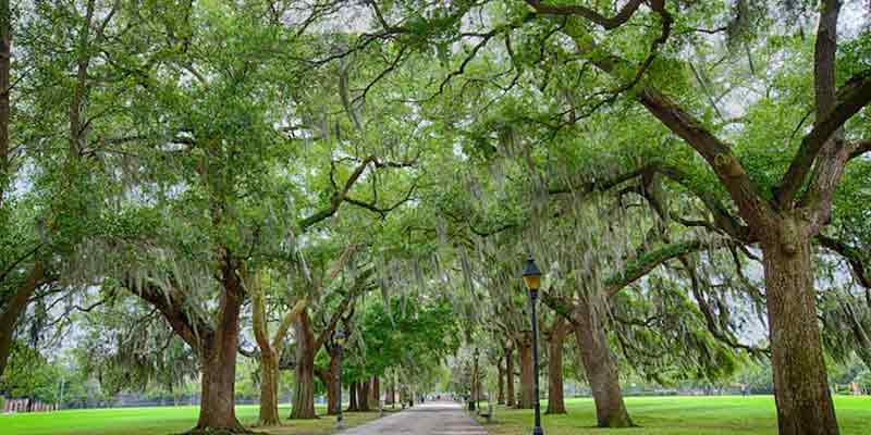 معرفی کامل جاهای دیدنی گرجستان + تصاویر