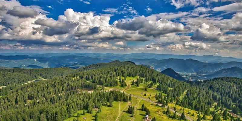 جنگل های بلغارستان | عکس + آدرس