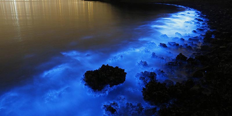 معرفی زیبایی‌های ساحل شب تاب چابهار