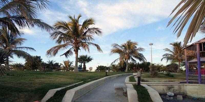 پارک زیتون قشم کجاست | تفریحات + عکس