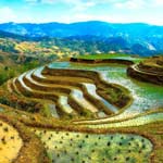 معرفی قاره آسیا | نکات جالب و حقایق شنیدنی!