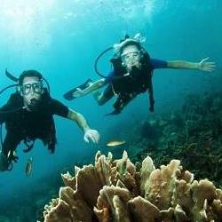 غواصی در کیش