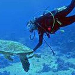 بهترین مناطق غواصی  قبرس