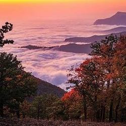 جنگل ابر شاهرود، لذت قدم زدن روی ابرها