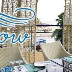 رستوران گو ویت د فلو | صرف غذایی لذیذ در این رستوران