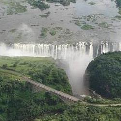 جنگل های آمازون| معرفی کامل + حقایق جالب در مورد جنگل آمازون