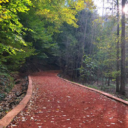 جنگل بلگراد، طبیعت نوردی زیبا در استانبول