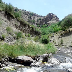 روستای سیرچ کجاست؟ راهنما + عکس