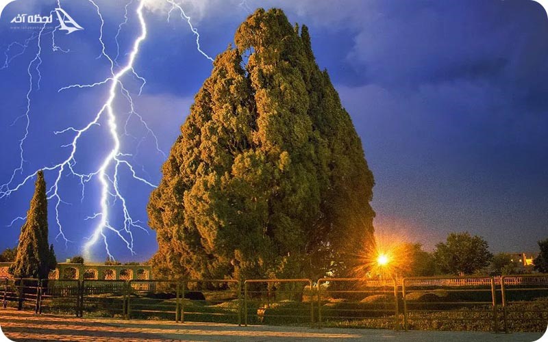 نگهداری از سرو ابرکوه