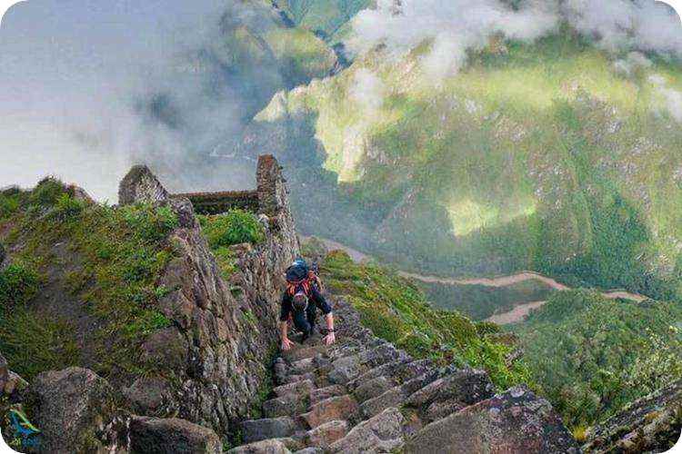  پلکان مرگ | پرو