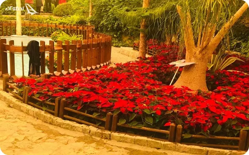 باغ موزه پروانه‌ها در اطراف آکواریوم اصفهان