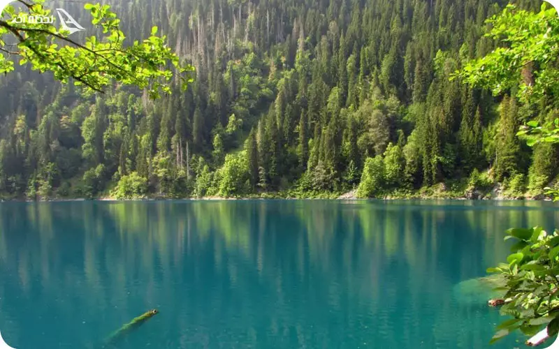 آدرس دریاچه ریتسا گرجستان