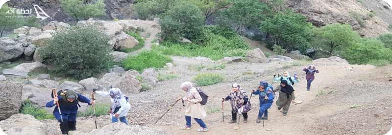 کوه دارآباد