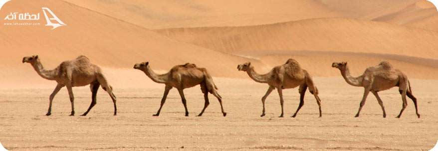 آب و هوا در قطر