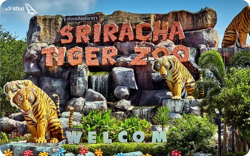 پارک ببرهای پاتایا