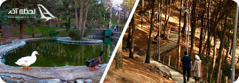 پارک طالقانی