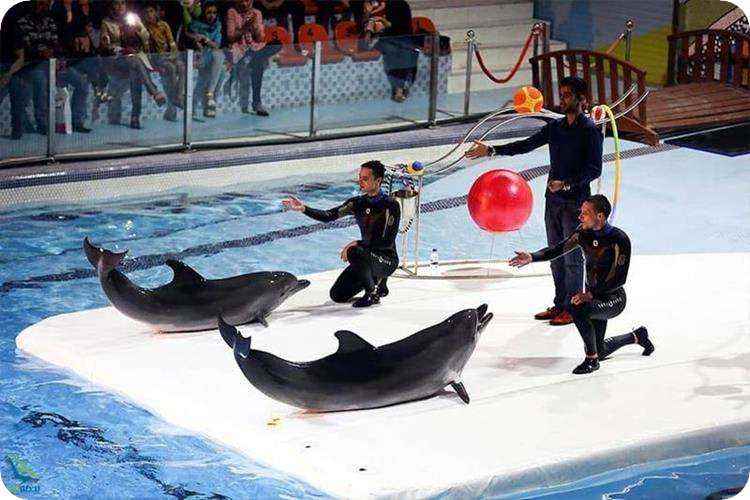 آدرس دلفیناریوم تهران