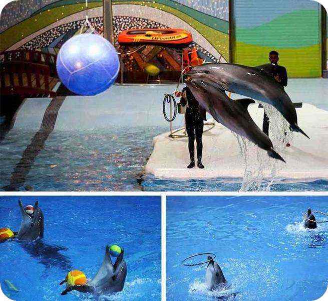 برج میلاد تهران