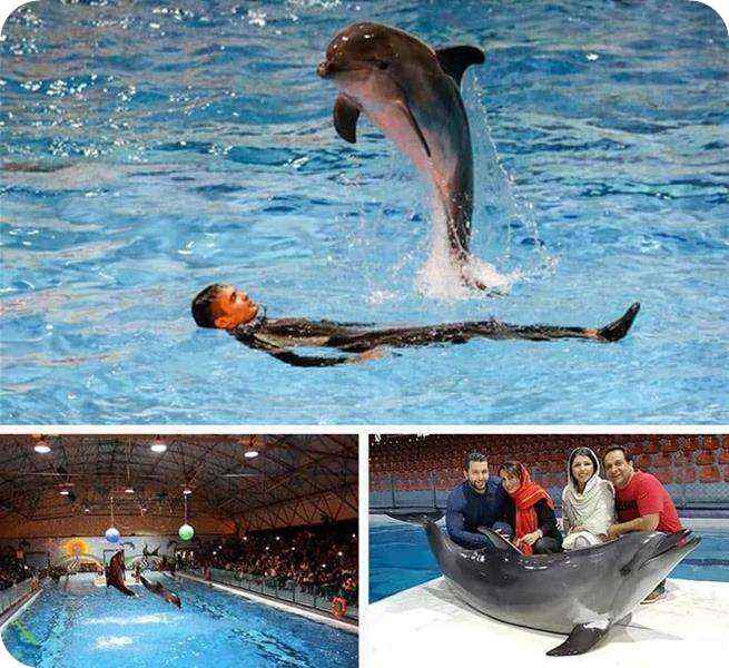 تفریحات برج میلاد