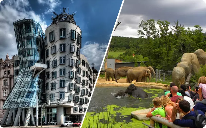 باغ وحش پراگ