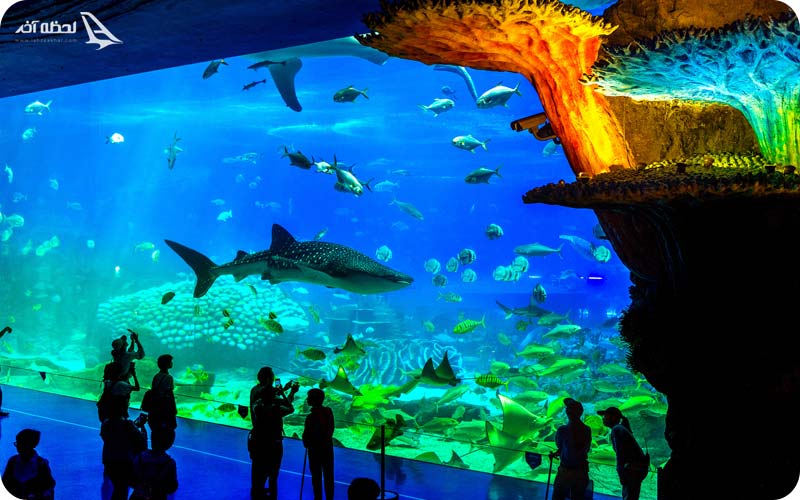 بزرگترین آکواریوم دنیا