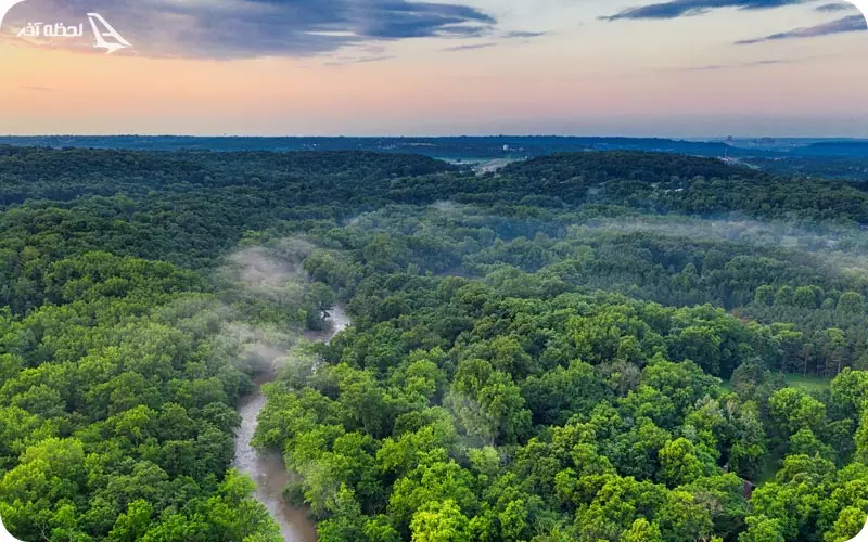 جنگل های امازون