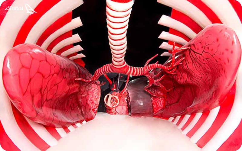 پارک علمی پروفسور بازیما