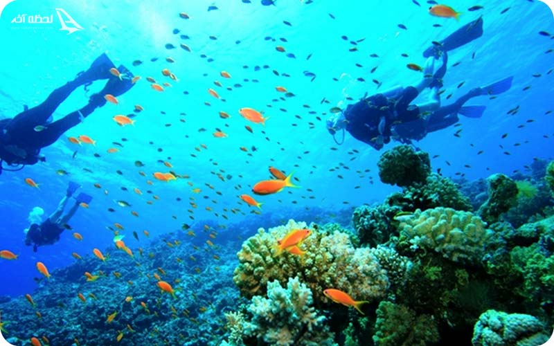 غواصی در آنتالیا