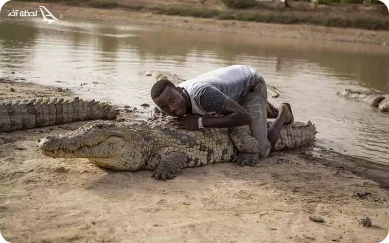 پارک کروکودیل قشم