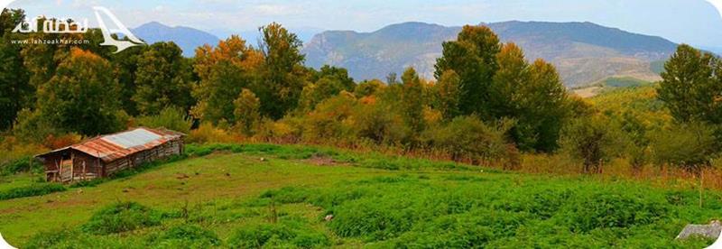 منطقه-جنگلی-اوریم