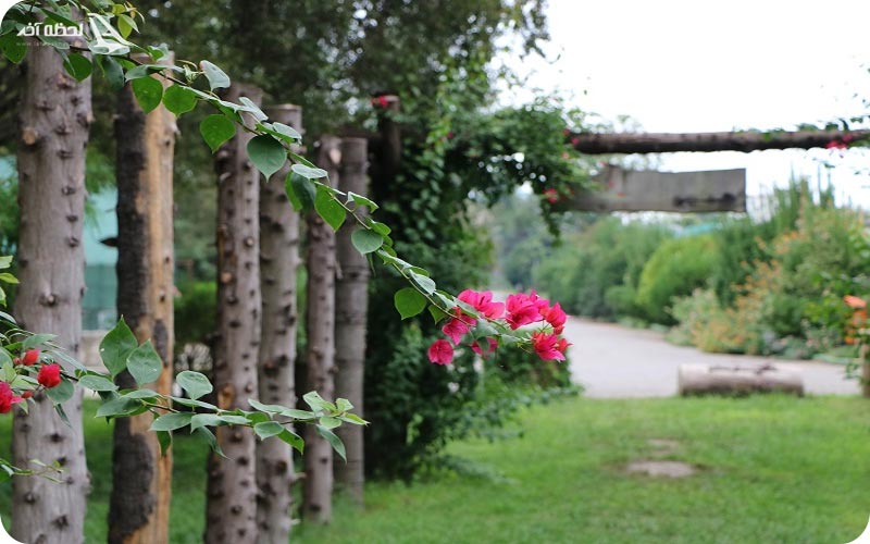 باغ گیاه شناسی نوشهر