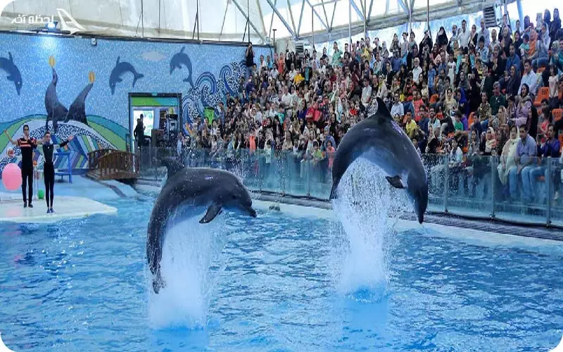 پارک دلفین ها و باغ پرندگان کیش