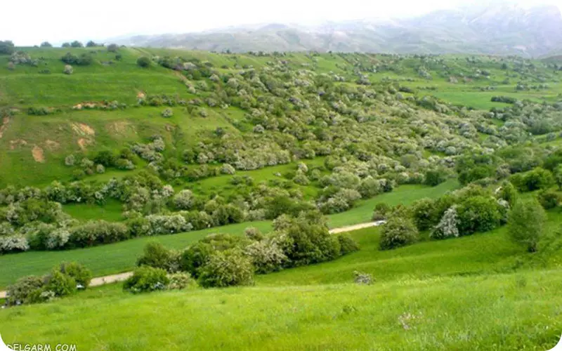 شهرستان اشنویه