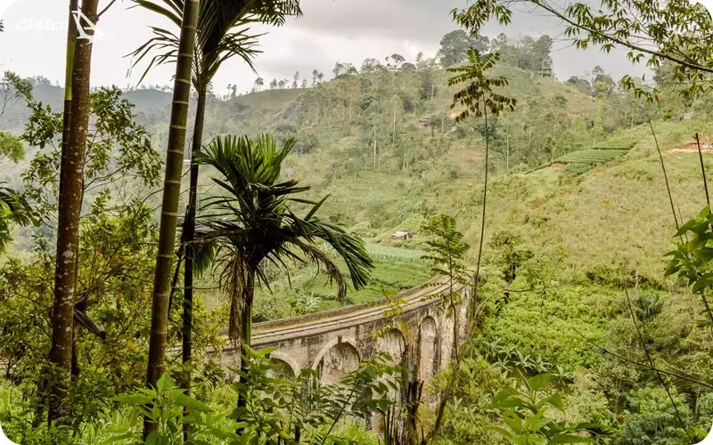 تور لحظه آخری سریلانکا