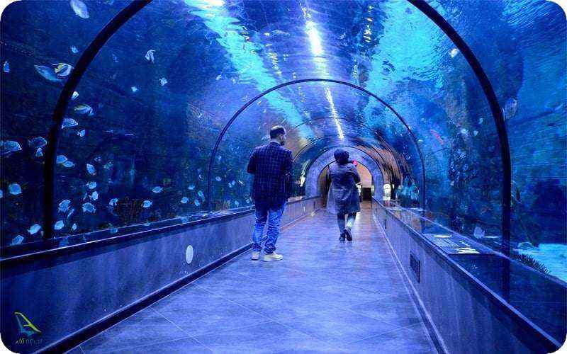 آکواریوم بزرگ انزلی