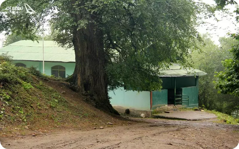 بهترین زمان سفر به کجوری