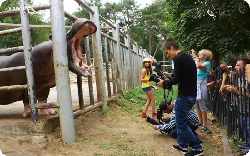 باغ وحش تفلیس