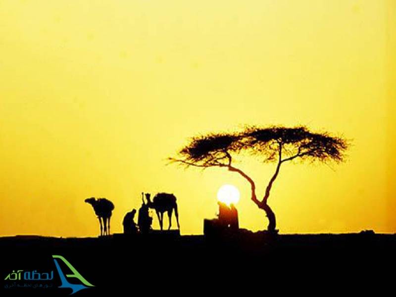 تنهاترین درخت در جهان