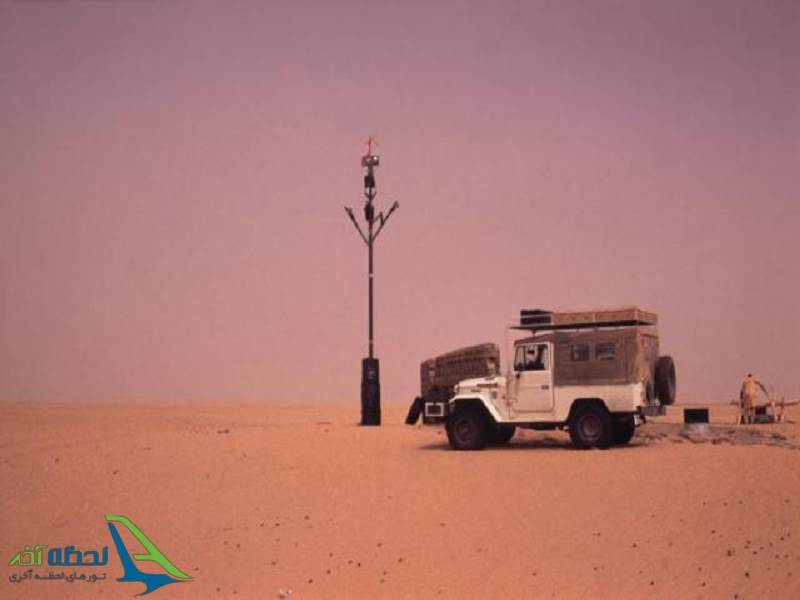 تنها ترین درخت جهان