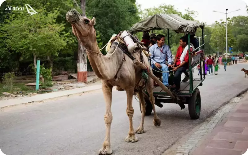 حمل و نقل در هند