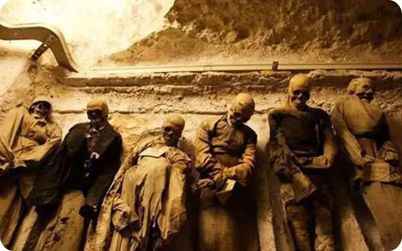 موزه های عجیب هند