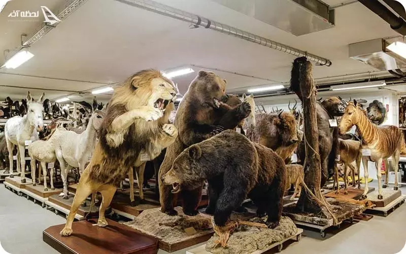 بهترین موزه های پایتخت ایران