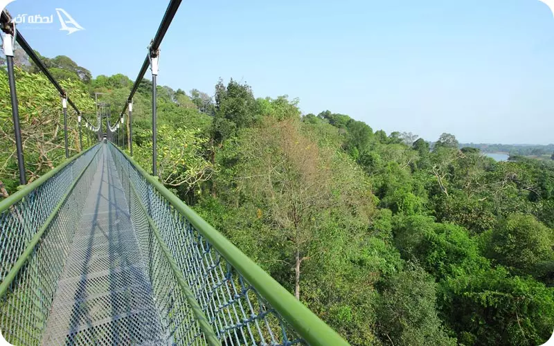 مسیر جنگل بوکیت