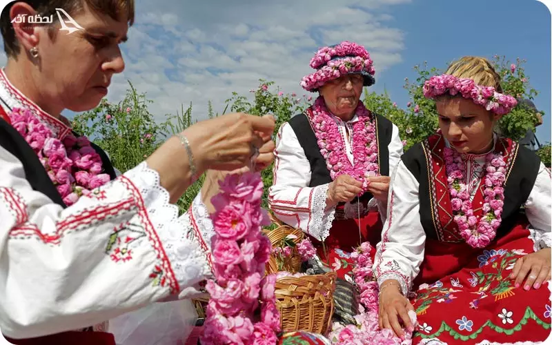 فستیوال گل رز