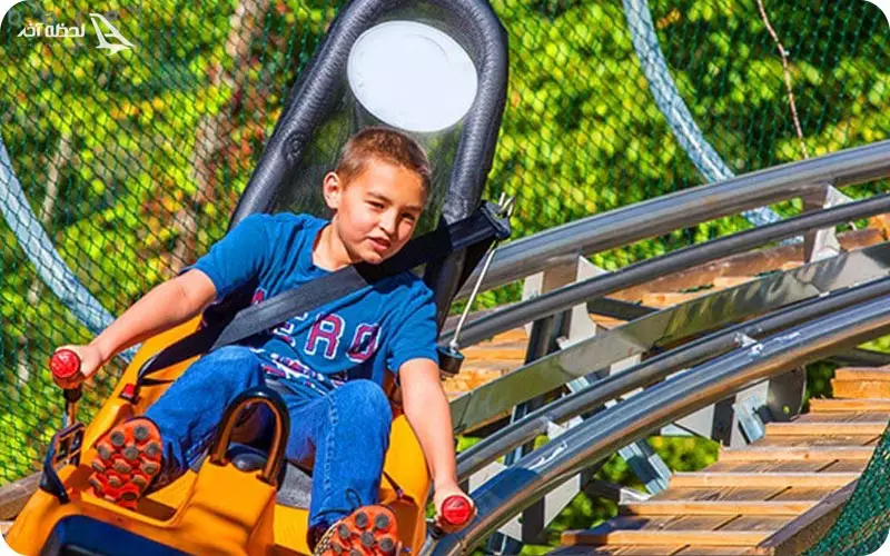 سورتمه بام تهران