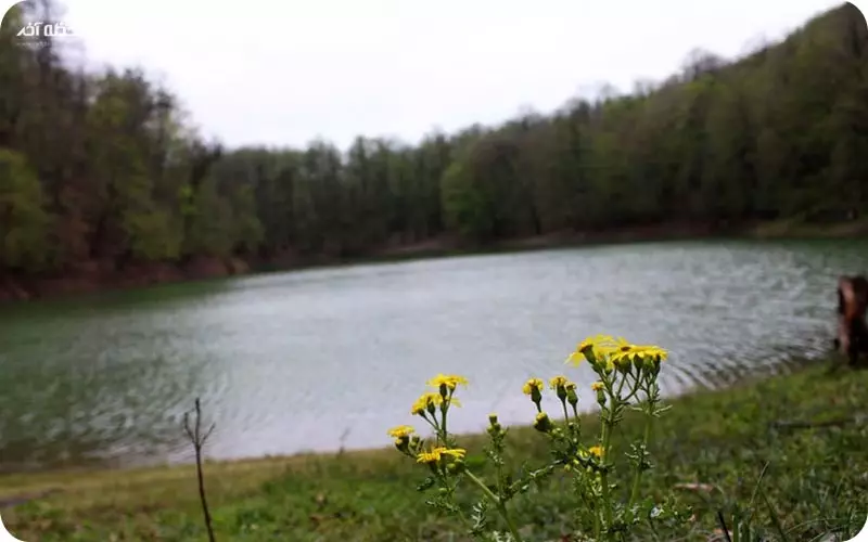 دریاچه چورت