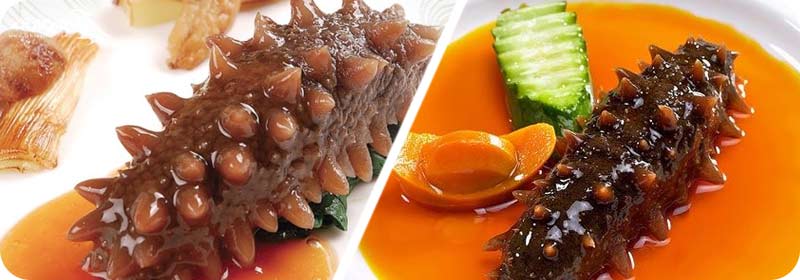 خوراک خیار دریایی