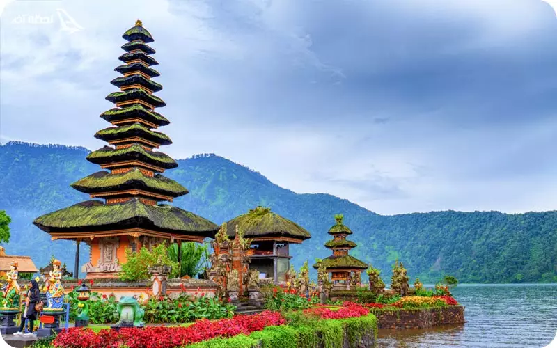 ابود بالی سرسبز و زیبا