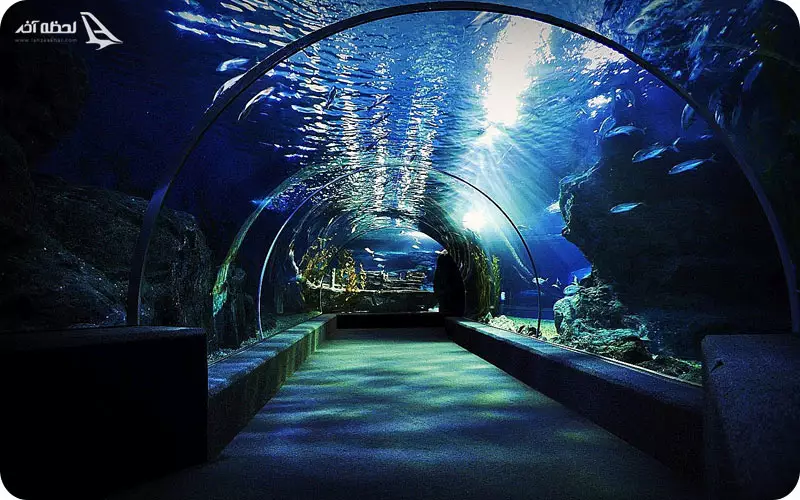 آکواریوم پاتایا